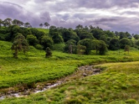 Co. Wicklow